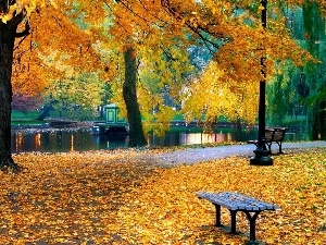 autumn, Bench, Park, River