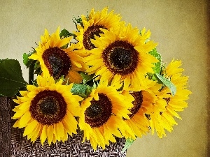 background, Brown, basket, Nice sunflowers