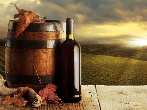 barrel, Wine, west, Leaf, sun