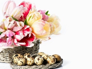basket, Tulips, quail, eggs