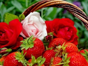 roses, basket, strawberries