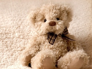teddy bear, Plush