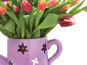 bouquet, Tulips, watering can