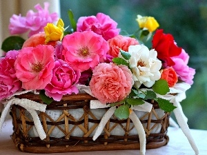 basket, bow, roses