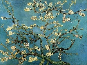 in, Branches, Vincent Van Gogh, Bloom, Almond