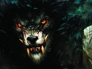canines, Eyes, werewolf, Red