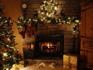 Lights, cat, gifts, christmas tree, socks, burner chimney