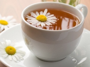 tea, chamomile, cup
