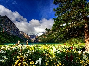 color, Park, Mountains, Flowers, lake
