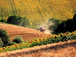 combine-harvester, Nice sunflowers, Field