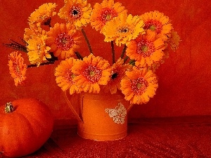 composition, pumpkin, bouquet, Gerbers