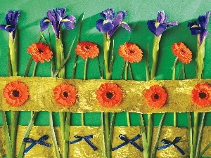 composition, Irises, Flowers, gerberas