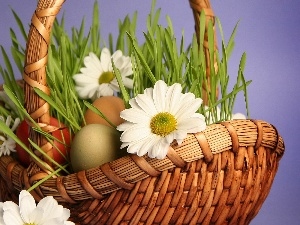 daisy, eggs, Easter, basket