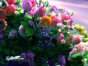 different, bouquet, graphics, flowers, Kagaya