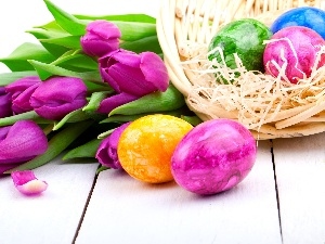 Tulips, eggs, Easter