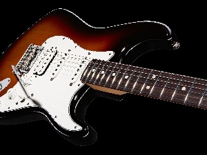 Electric, Fender Stratocaster, Guitar