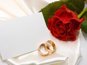 rings, envelope, rose