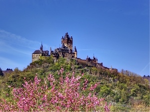 flourishing, Hill, Spring, Castle, trees, Reichsburg