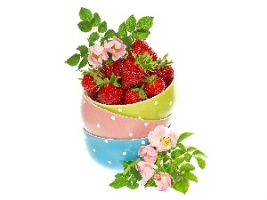 Flowers, strawberries, color, rose, Bowls