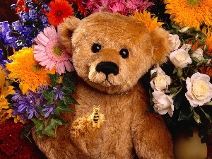 teddybear, Flowers, Plush