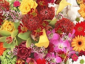 Various, Flowers, bouquet