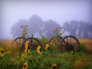 Fog, Nice sunflowers, wheel, wagon