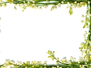 frame, lily of the Valley