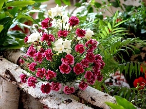 Freesias, Dianthus barbatus, bouquet, flowers