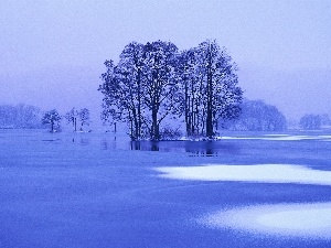 frozen, winter, trees, lake, viewes