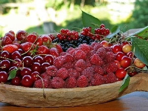 Fruits, fresh, dish, Red