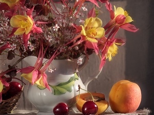 Vase, Fruits, Flowers