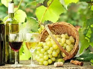 glasses, Grapes, Bottles, Wines