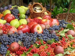 basket, grape, apples, harvest, truck concrete mixer