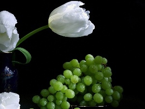 Grapes, green ones, White, Tulips