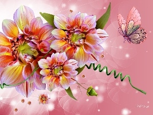 butterfly, graphics, Flowers