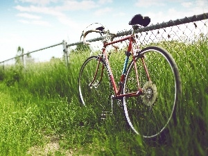grass, tall, Bike, Cycle