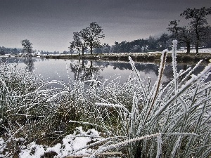 grass, viewes, River, winter, trees