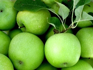 apples, green ones