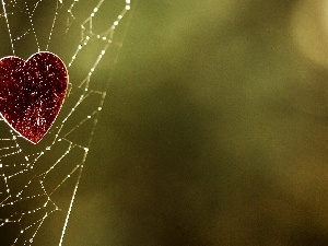 Red, Heart, Web