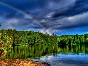 lake, forest, Great Rainbows
