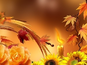 Leaf, Nice sunflowers, autumn, roses