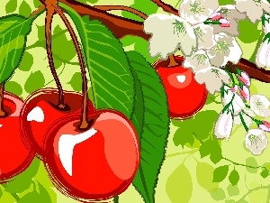 cherries, leaves, Fruits