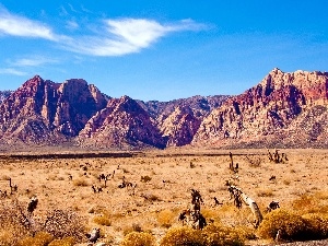 Mountains, Desert