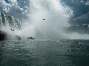 Niagara Falls, birds, waterfall