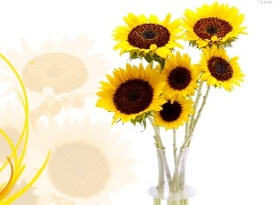 Vase, Nice sunflowers