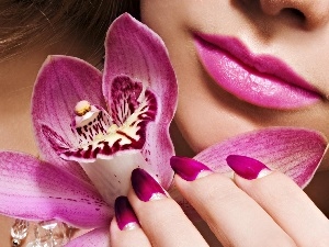 orchids, make-up, face, Womens