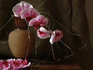 Vase, orchids, Brown