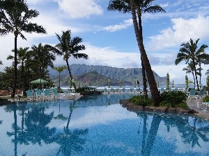 Palms, Hotel hall, sea, Tropical, Mountains