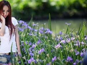 Park, flowerbed, girl, Irises