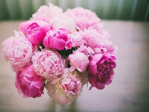 Peonies, Pink, bouquet, Flowers